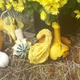 Illustration for article titled Shooting Challenge Fall Leaves Gallery 1